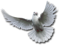 Picture Of Holy Spirit U201C - Holy Spirit, Transparent background PNG HD thumbnail