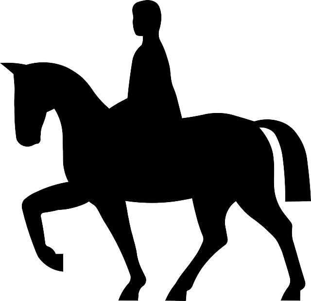 Free Vector Graphic: Horse, Rider, Equestrian, Animal   Free Image On Pixabay   145934 - Horse Riding, Transparent background PNG HD thumbnail