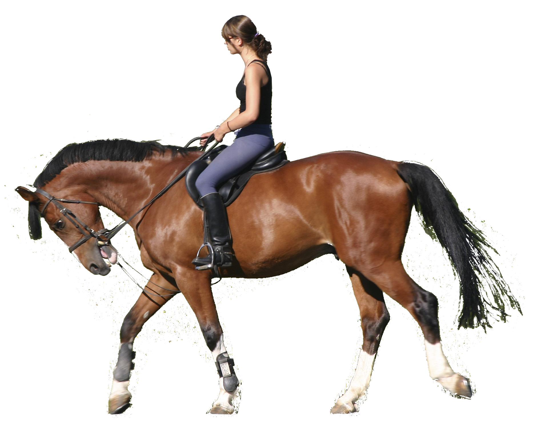 Horseback.png (1880×1500) - Horse Riding, Transparent background PNG HD thumbnail