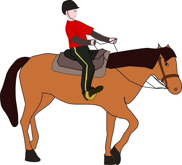 Png: Small · Medium · Large - Horse Riding, Transparent background PNG HD thumbnail