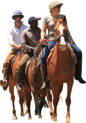 So Much Fun To Ride Out From The Farm! - Horse Riding, Transparent background PNG HD thumbnail