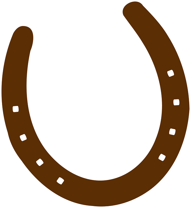The icon is a horseshoe that 