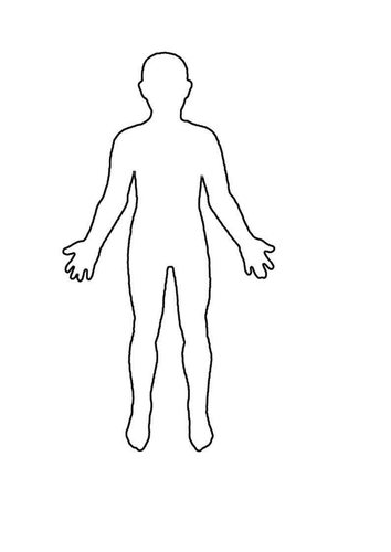 Png Human Body Outline Hdpng.com 354 - Human Body Outline, Transparent background PNG HD thumbnail