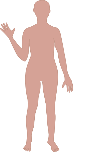 Body Outline Clip Art At Clipart Library   Vector Clip Art Online - Human Body Outline, Transparent background PNG HD thumbnail