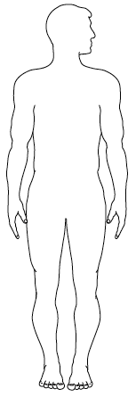 Png Human Body Outline - Match The Body Parts And Their Descriptions To The Organs In The Correct Place On The Human Body Outline Provided And Label Them With The Descriptions., Transparent background PNG HD thumbnail