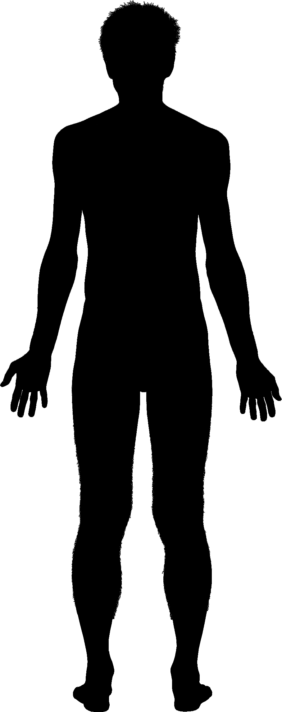 Png Human Body Outline - Medical, Transparent background PNG HD thumbnail