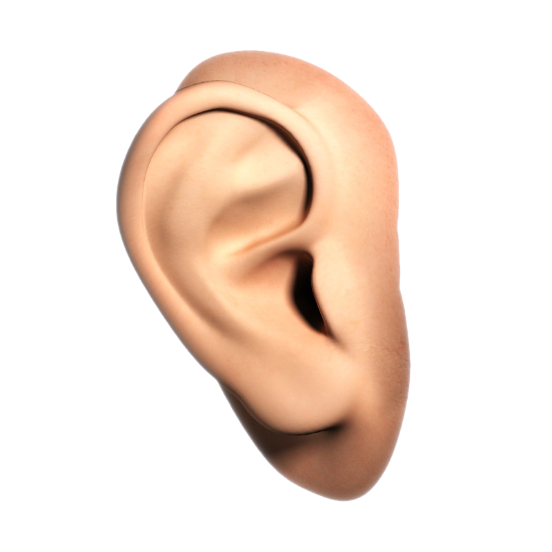 Ear Png - Human Nose, Transparent background PNG HD thumbnail
