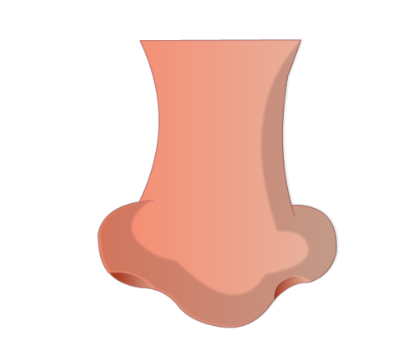 Human Nose 2 Click To Preview - Human Nose, Transparent background PNG HD thumbnail