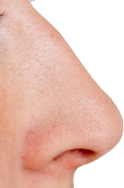 Human Nose Png - Human Nose, Transparent background PNG HD thumbnail