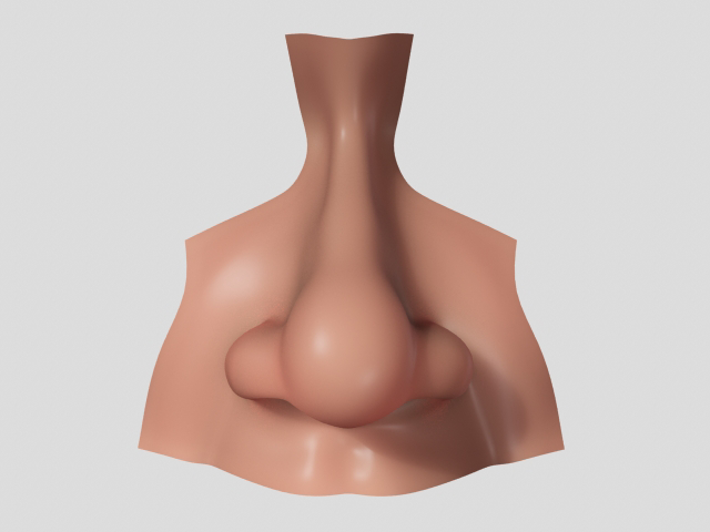 Nose Realistic Nose Human Nose 3D - Human Nose, Transparent background PNG HD thumbnail