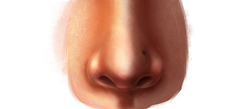 Painting A Realistic Human Nose Easily - Human Nose, Transparent background PNG HD thumbnail