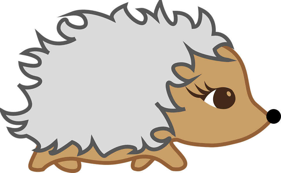 Free Vector Graphic: Hedgehog, Autumn, Hibernation   Free Image On Pixabay   1158775 - Igel, Transparent background PNG HD thumbnail
