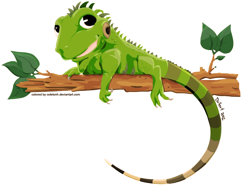 Colored Iguana By Coletonh Hdpng.com  - Iguana, Transparent background PNG HD thumbnail