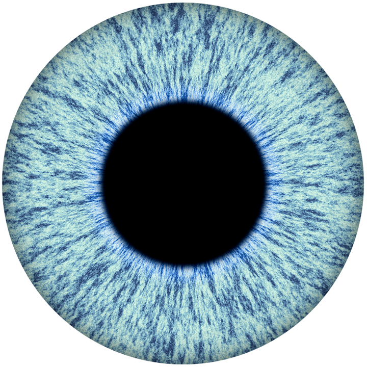 Image result for eye iris ima