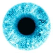 Image Result For Eye Iris Images - Iris, Transparent background PNG HD thumbnail