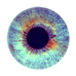 Eye, Iris, Isolated