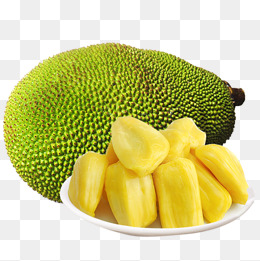 A Jackfruit, A Fruit, Jackfruit, Fresh Pineapple Png Image - Jackfruit, Transparent background PNG HD thumbnail