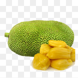 Hainan Jackfruit, Real, Fruit, Hainan Jackfruit Png Image - Jackfruit, Transparent background PNG HD thumbnail