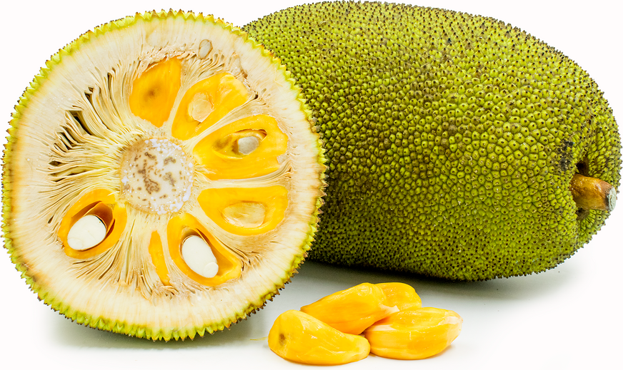 Jack Fruit - Jackfruit, Transparent background PNG HD thumbnail