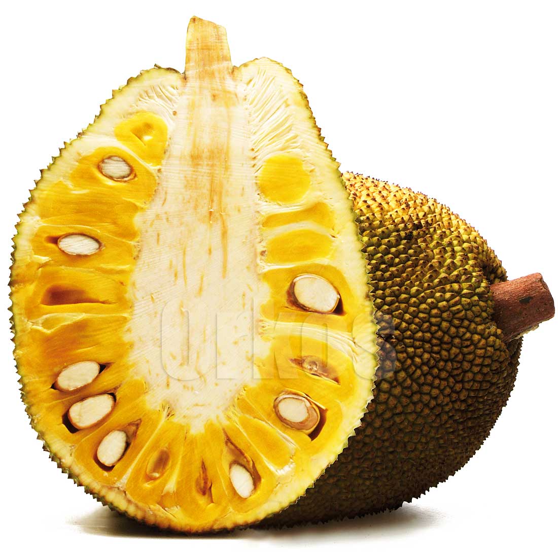 Jackfruit - Jackfruit, Transparent background PNG HD thumbnail