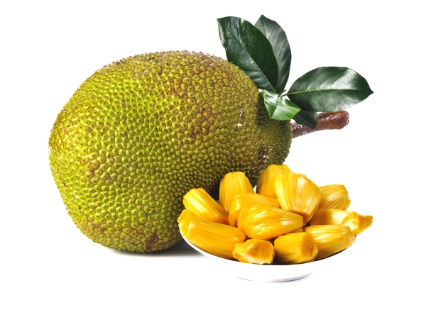 Jackfruit. U201C - Jackfruit, Transparent background PNG HD thumbnail