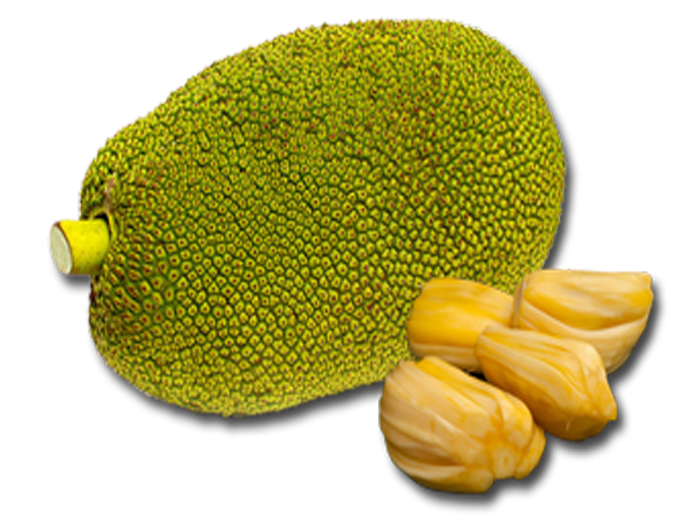 Jackfruit - Jackfruit, Transparent background PNG HD thumbnail