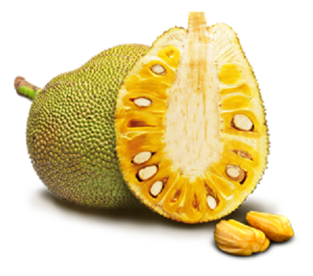 Jackfruit Is A Huge Tree That Grows To As High As 30 Meters, Larger Than Mango, Breadfruit, Etc. Jackfruit Is Recognized For Its Unique Shape, Hdpng.com  - Jackfruit, Transparent background PNG HD thumbnail
