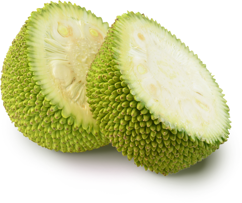 Unripe Jackfruit   How Mature Jackfruit Helps Fight Diabetes? - Jackfruit, Transparent background PNG HD thumbnail