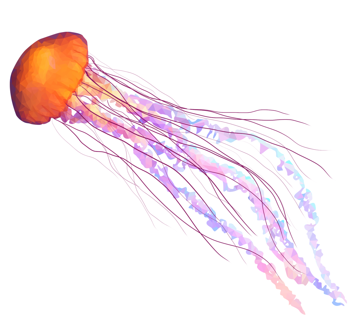 Png Jellyfish Hdpng.com 1185 - Jellyfish, Transparent background PNG HD thumbnail