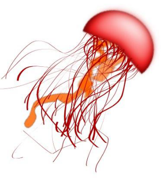 Jellyfish - Jellyfish, Transparent background PNG HD thumbnail