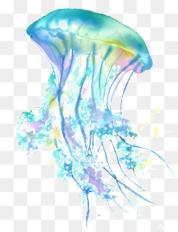 Jellyfish, Hand Painted Jellyfish, Cartoon Jellyfish, Color Jellyfish · Png - Jellyfish, Transparent background PNG HD thumbnail