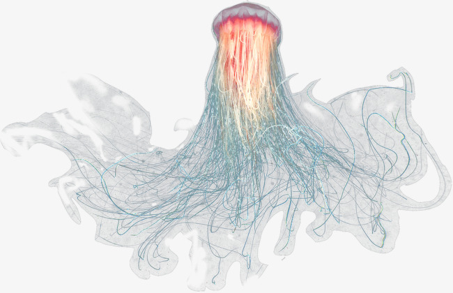Jellyfish In The Sea, Sea, Ocean, Jellyfish Free Png Image - Jellyfish, Transparent background PNG HD thumbnail