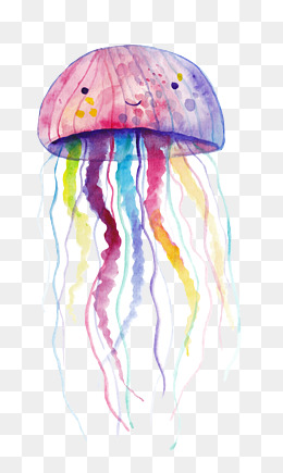 Watercolor Style Vector Illustration Jellyfish - Jellyfish, Transparent background PNG HD thumbnail