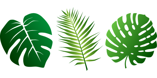 Png Jungle Leaf - Free Vector Graphic: Leaves, Tropical, Palms, Plant   Free Image On Pixabay   2305515, Transparent background PNG HD thumbnail
