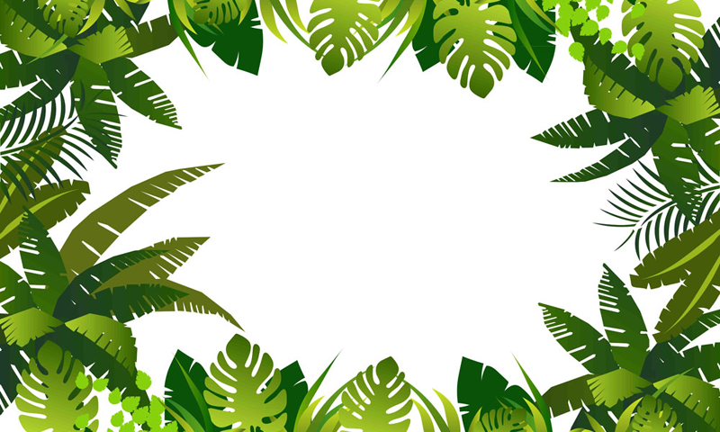 Green Leaves Background - Jungle Leaf, Transparent background PNG HD thumbnail