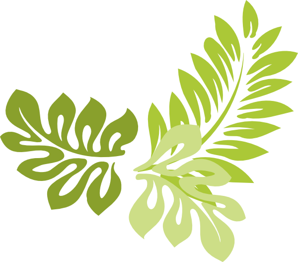 Png Jungle Leaf - Image   4F0C23A932A50E9Cdfc9Fcbf8Cfb517F Leaf  Border Clipped Art Clip Simple Jungle Leaf Border No Background Clipart 600 527.png | Animal Jam Clans Wiki Hdpng.com , Transparent background PNG HD thumbnail