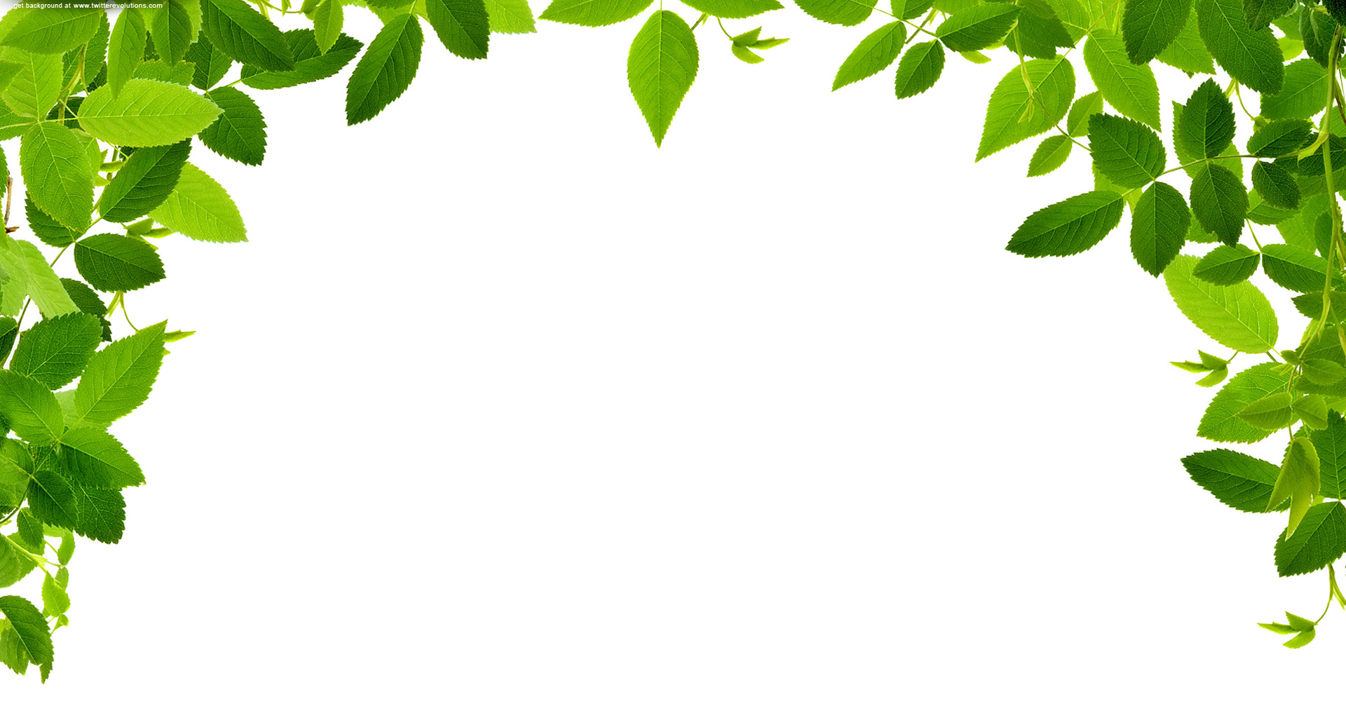 Jungle Leaves Background Clipart - Jungle Leaf, Transparent background PNG HD thumbnail