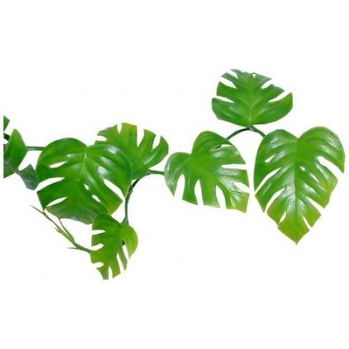 Pin Foliage Clipart Jungle Leaves #2 - Jungle Leaf, Transparent background PNG HD thumbnail