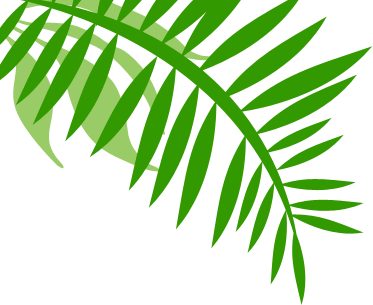 Your Life With Revv - Jungle Leaf, Transparent background PNG HD thumbnail