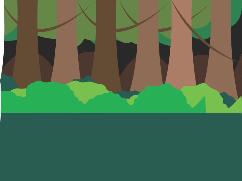 Forest Scenes Clipart - Jungle Scene, Transparent background PNG HD thumbnail