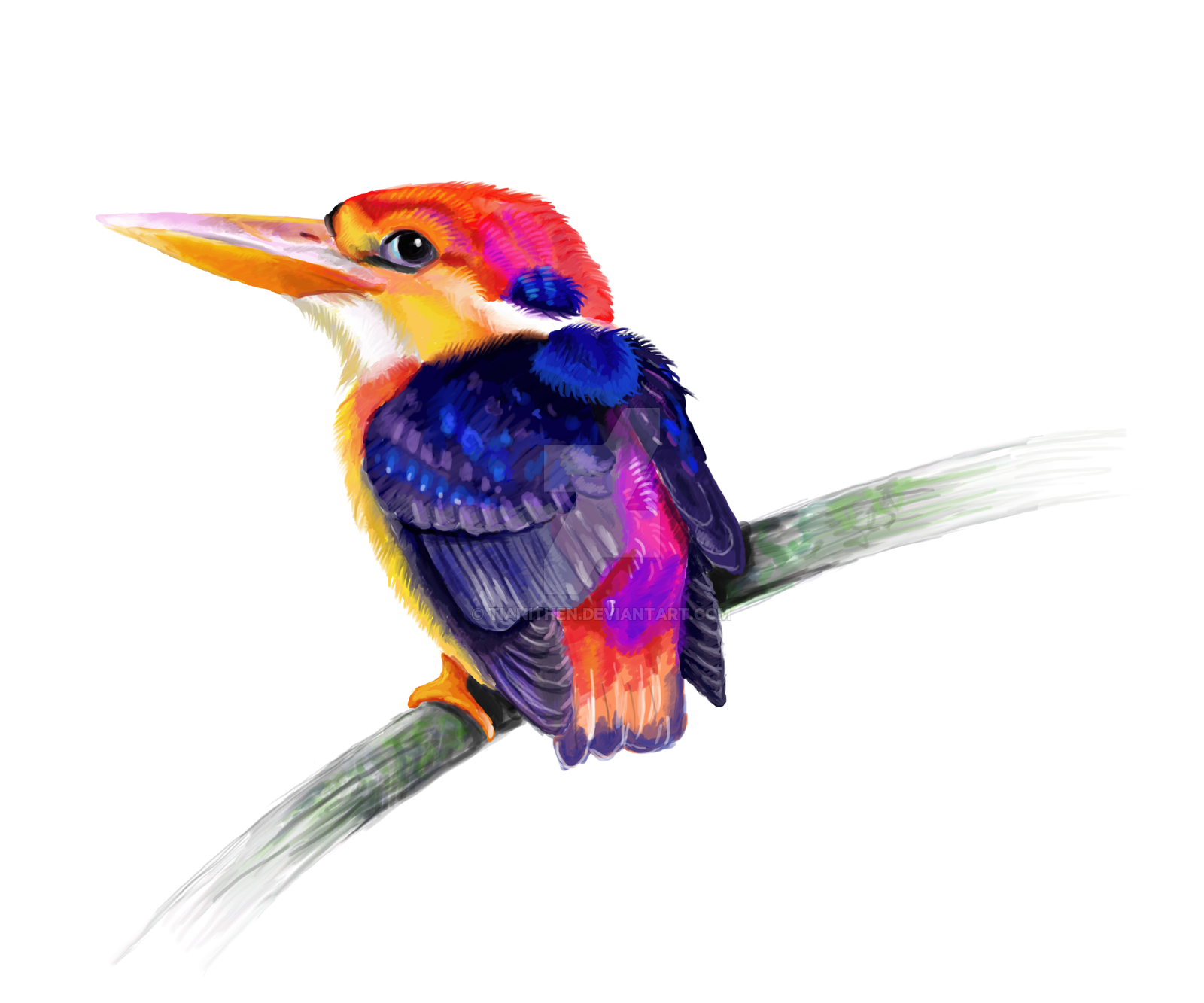 PNG Kingfisher Bird-PlusPNG.c