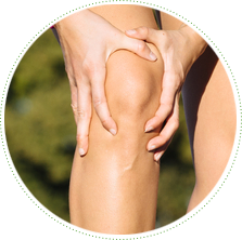 Knee - Knee, Transparent background PNG HD thumbnail