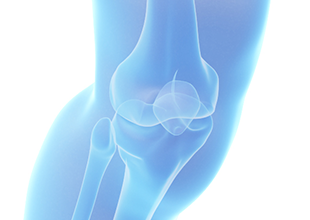 Knee Problems - Knee, Transparent background PNG HD thumbnail