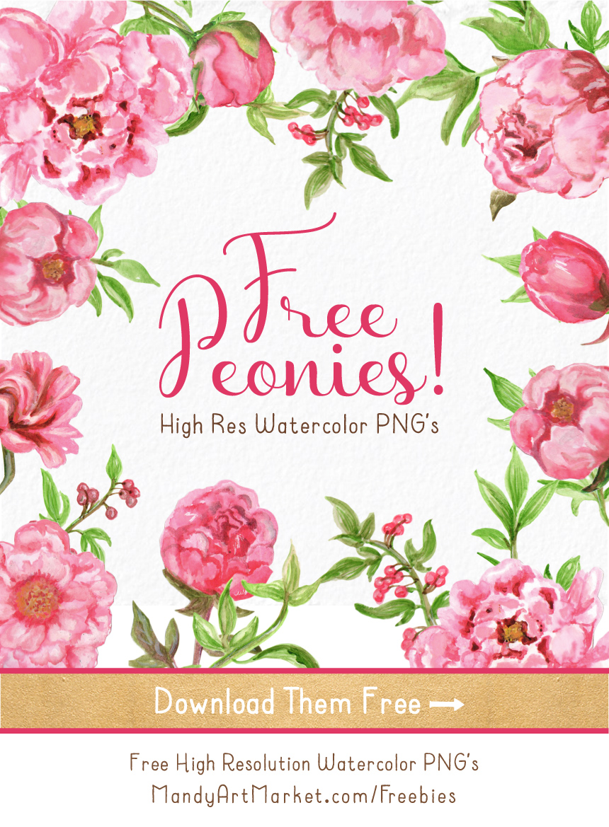 Free Watercolor Peonies Clipart Now Available! 1 18 Pretty, High Res Png Peonies   - Kostenlos, Transparent background PNG HD thumbnail