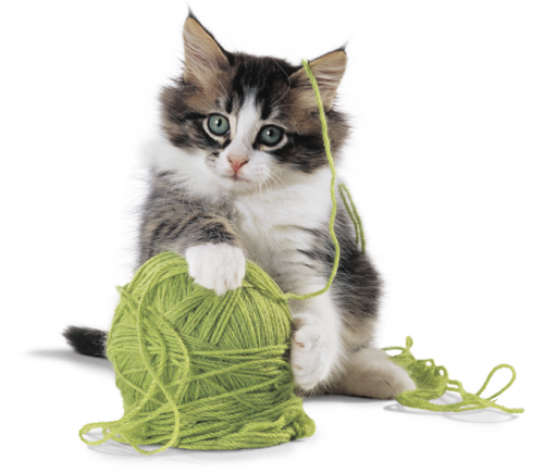 Kot Zaplątany W Zieloną Włóczkę Z Kłębka - Kot, Transparent background PNG HD thumbnail