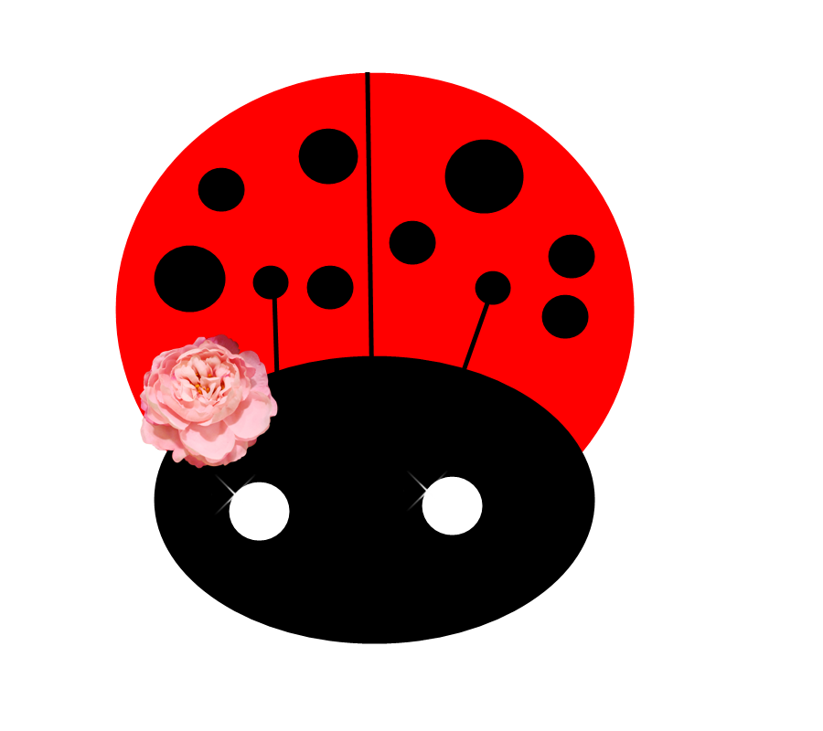 Ladybird Png By Nataedits Hdpng.com  - Ladybird, Transparent background PNG HD thumbnail