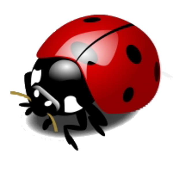 Png: Small · Medium · Large - Ladybird, Transparent background PNG HD thumbnail