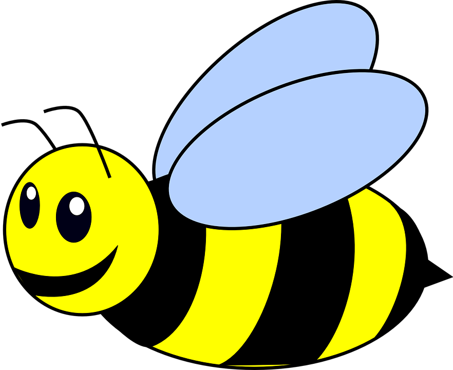 Bee with big eyes