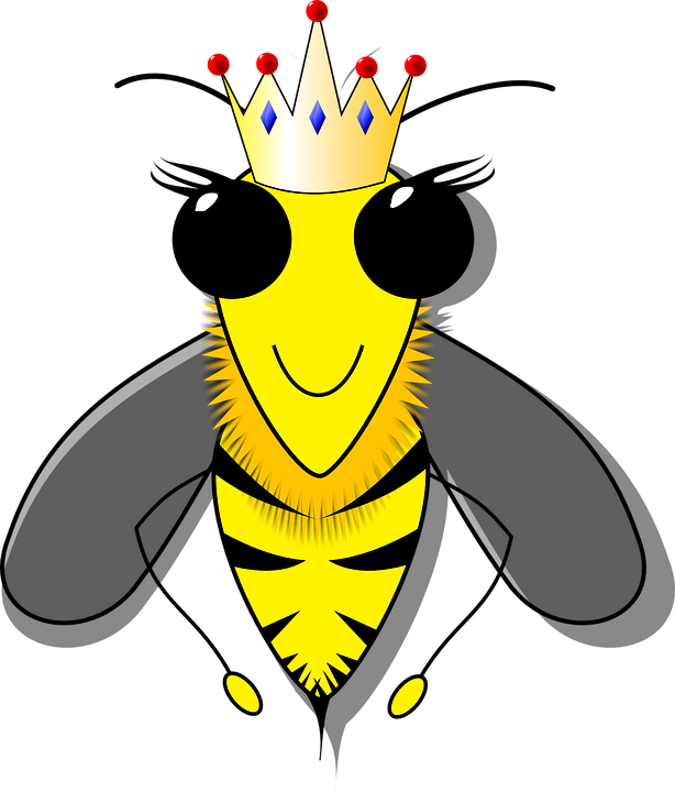 Ratu Lebah, Lebah, Sarang Lebah, Lilin Lebah, Sarang - Lebah, Transparent background PNG HD thumbnail