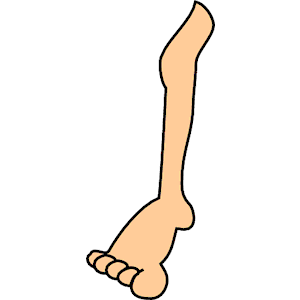 Clip Art Left Leg - Leg, Transparent background PNG HD thumbnail